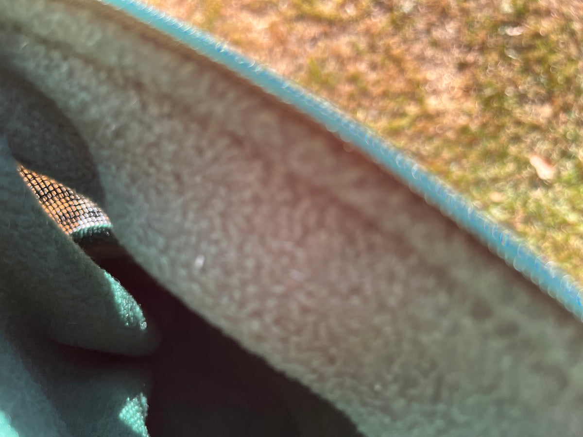 Sugar Glider, Bonding bag, travel pouch/purse, pocket pet